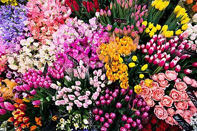 《无主之地3》跨平台游戏更新和 “恩怨风云再起” 活动现已推出